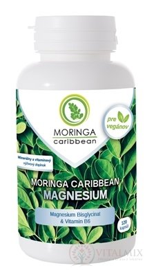 Moringa Moringa Caribbean MAGNESIUM cps s vitamínem B6 1x120 ks