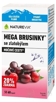 NATUREVIA MEGA BRUSNICE se zlatobylí cps (20% zdarma) (inov.2026) 1x60 ks