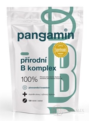 PANGAMIN PŘÍRODNÍ B-KOMPLEX tbl (sáček) 1x120 ks