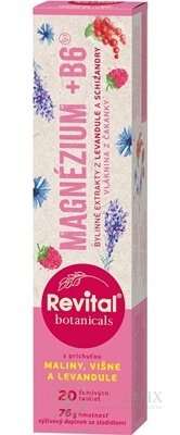 Revital Botanicals MAGNOSIUM + B6 tbl eff s bylinnými extrakty, s příchutí maliny, višně a levandule 1x20 ks