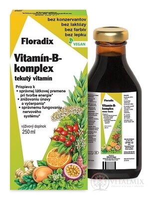 SALUS Floradix Vitamin-B-komplex tekutý vitamín 1x250 ml