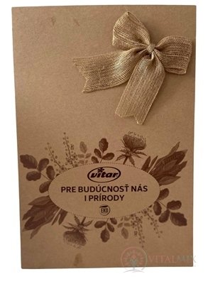 VITAR EKO Friendly BOX KOLAGEN FORTE cps 60 + VITAMIN C 500 mg cps 60 + HOŘČÍK Aquamin Mg cps 60, 1x1 set