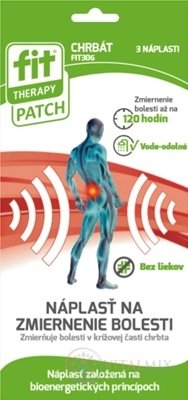 FIT THERAPY Patch Hřbet náplast 1x3 ks