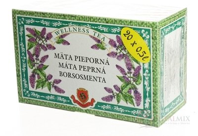 HERBEX Máta peprná bylinný čaj 20x3 g (60 g)