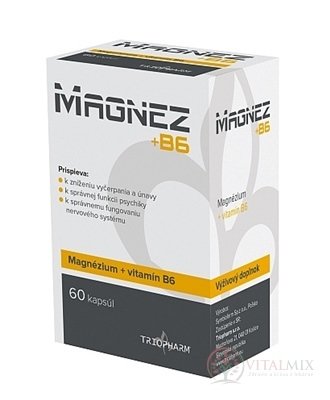 Magnézia + B6 cps 1x60 ks