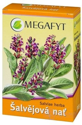 MEGAFYT Šalviová nať 1x30 g