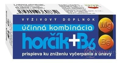 Naturvita HOŘČÍK + B6 tbl 1x60 ks