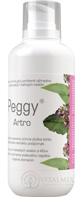 PEGGY Artrom GEL 1x500 g