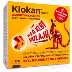 Barny&#39;s KLOKAN Forte cps (vánoční, zvýhodněné balení) 1x120 ks