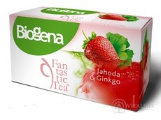 Biogena Fantastic Tea Jahoda &amp; Ginkgo bylinný čaj (inov.2019) 20x2 g (40 g)