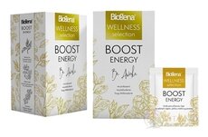 Biogena WELLNESS BOOST ENERGY bylinný čaj 20x1,8 g (36 g)