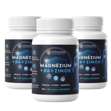 VITALMIX MAGNÉZIUM+B6+ZINOK 3 x (90+20tbl) 
