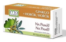 FYTO GINKGO + HOŘČÍK Na paměť cps 1x30