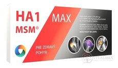 HA1 MSM MAX náhrada synoviální tekutiny injekční roztok kys. hyaluronové 1,6% a MSM 5% 1x3 ml