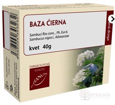 HANUS BAZA ČERNÁ KVĚT vakuové bal. 1x40 g