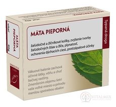 HANUS máta peprná nať vakuové bal. 1x40 g