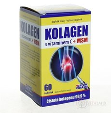 Kolagen s vitaminem C + MSM cps 1x60 ks