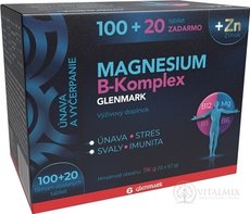 Magnesium B-Komplex GLENMARK + Zinek tbl 100+20 zdarma (120 ks)