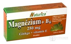Naturica magnézium 250 mg + B6 + Ginkgo + vitamín E tbl 1x30 ks