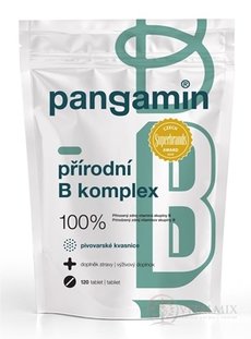 PANGAMIN PŘÍRODNÍ B-KOMPLEX tbl (sáček) 1x120 ks