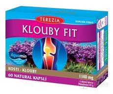 TEREZIA KLOUBY FIT cps 1x60 ks