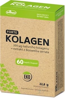 VITAR KOLAGEN FORTE + extrakt z Boswellia serrata cps 1x60 ks