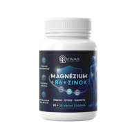 VITALMIX MAGNÉZIUM+B6+ZINOK 90+20tbl ZDARMA - proti křečím a únavě