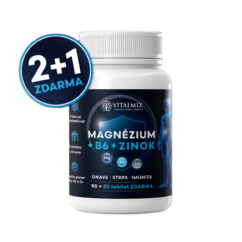 VITALMIX MAGNÉZIUM+B6+ZINOK 90+20tbl AKCE 2+1 ZDARMA