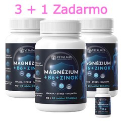 VITALMIX MAGNÉZIUM+B6+ZINOK (90+20tbl) 3+1 ZDARMA 
