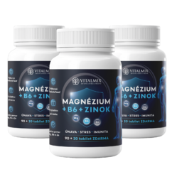 VITALMIX MAGNÉZIUM+B6+ZINOK 3 x (90+20tbl) 