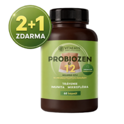 VITALMIX  PROBIOZEN 12mld 3x60cps