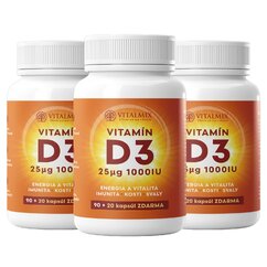 VITALMIX|VITAMIN D3 1000IU 3 X 90+20 cps ZDARMA