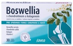 Boswellia s chondroitinem a kolagenem tbl 1x30 ks